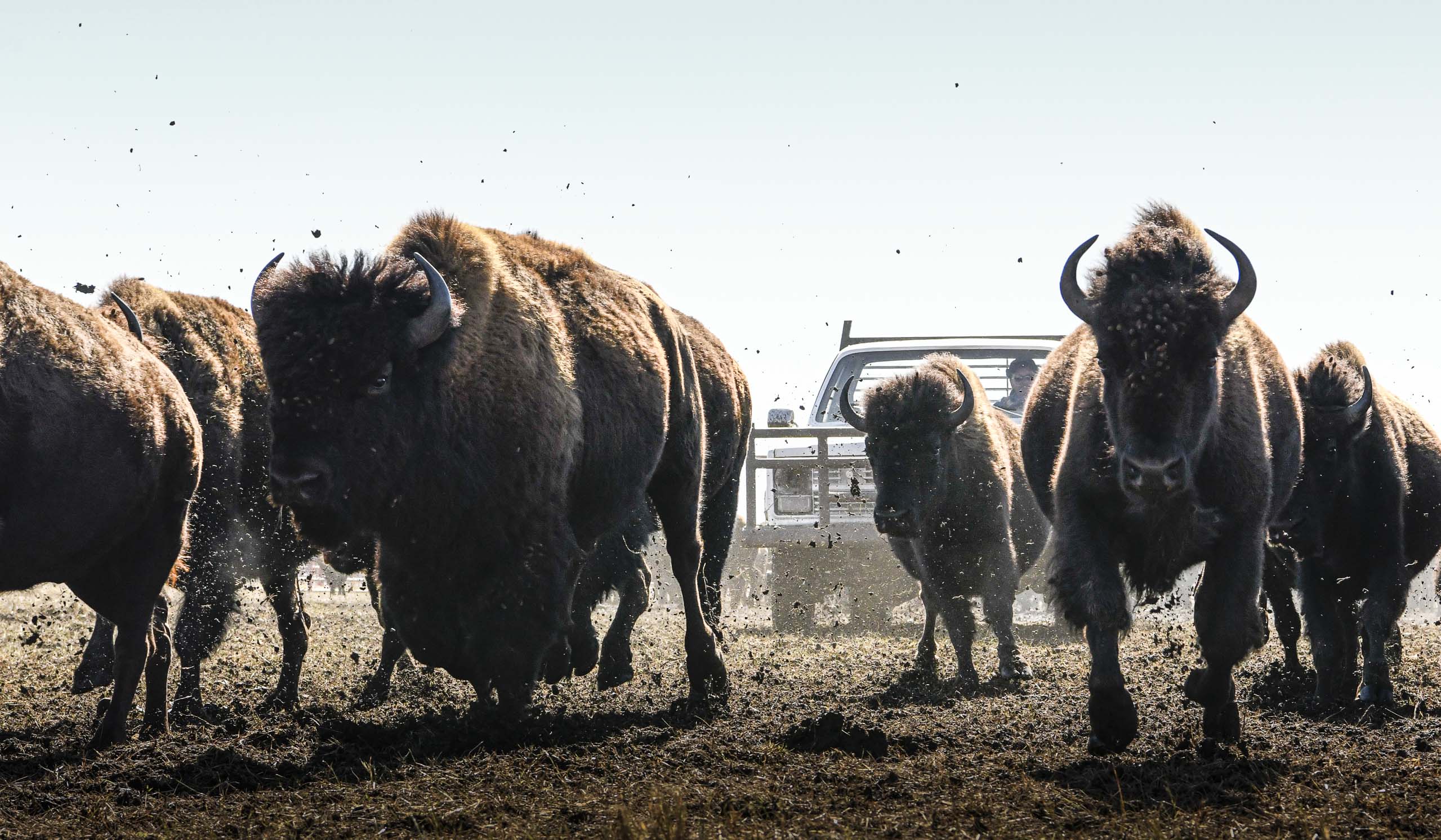 Marie-Claire Greve, Marie-Claire Greve, Coming Home II, Oklahoma, 2019