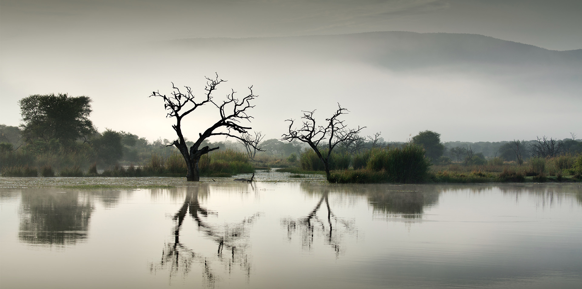 Fish and Eagle Dam, South Africa, 2014